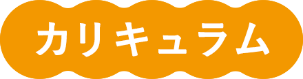 カリキュラム